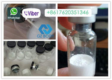 1mg / Vial GDF8 Myostatin, กล้ามเนื้ออาคาร White Freeze Dried Powder
